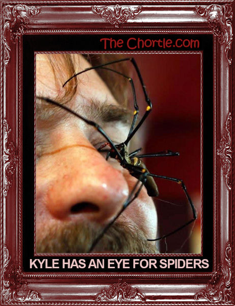 Kyle has an eye for spiders.