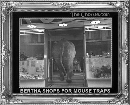 Bertha shops for mouse traps