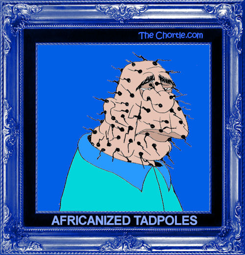 Africanized tadpoles
