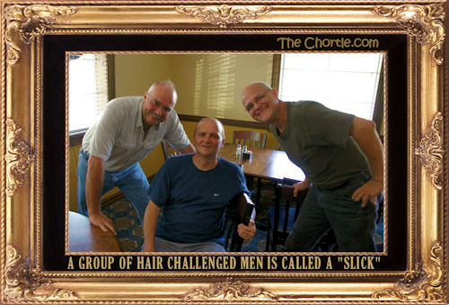 A group of hair challenged men is called a "slick"