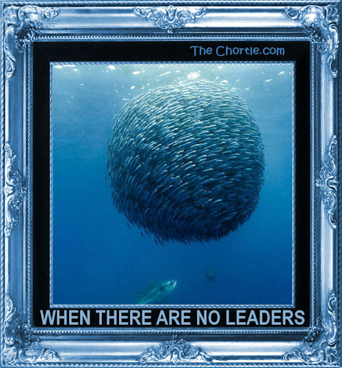 When there are no leaders