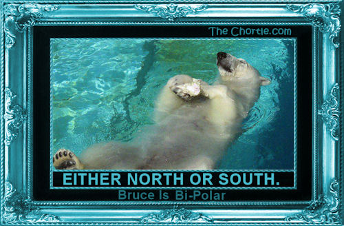 Either north or south. Bruce is bi-polar.