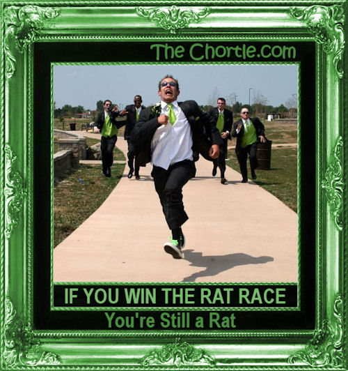 If you win the rat race, you're still a rat