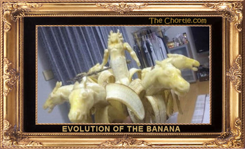 Evolution of the banana