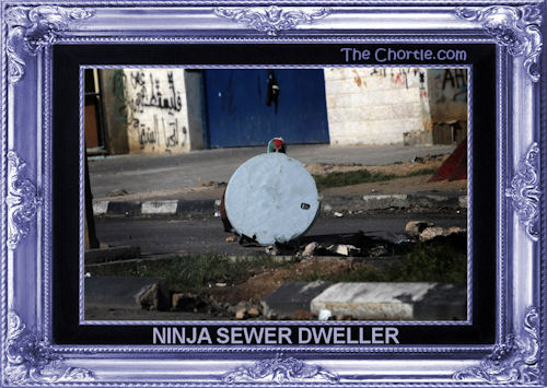 Ninja sewer dweller