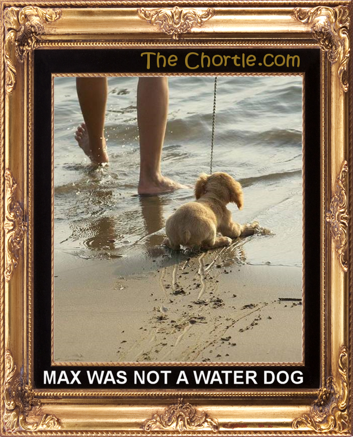 Max was not a water dog.