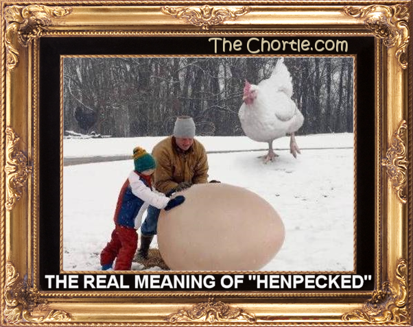 The real meaning of "henpecked"