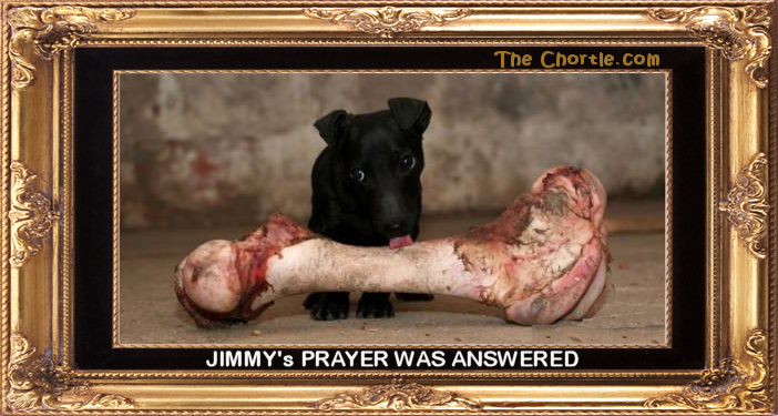 Jimmy's prayer was answered.