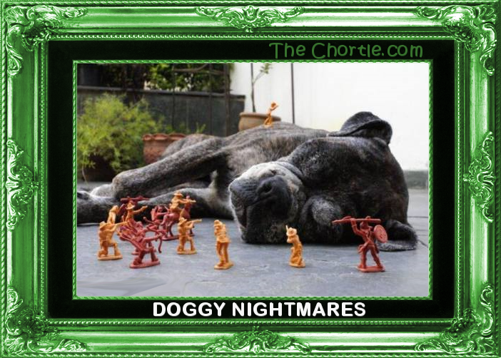 Doggy nightmares.