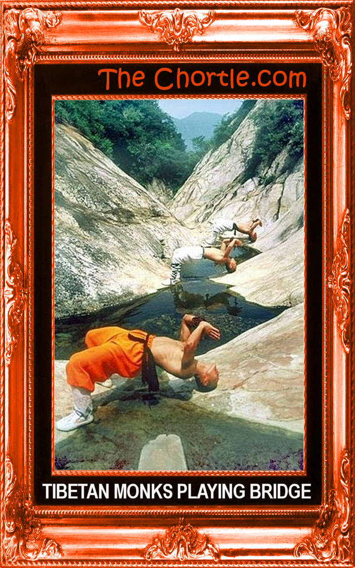 Tibetan monks playing bridge.