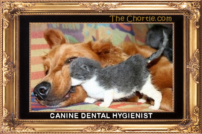 Canine dental hygienist.