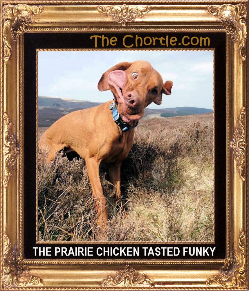 The prairie chicken tasted funky.