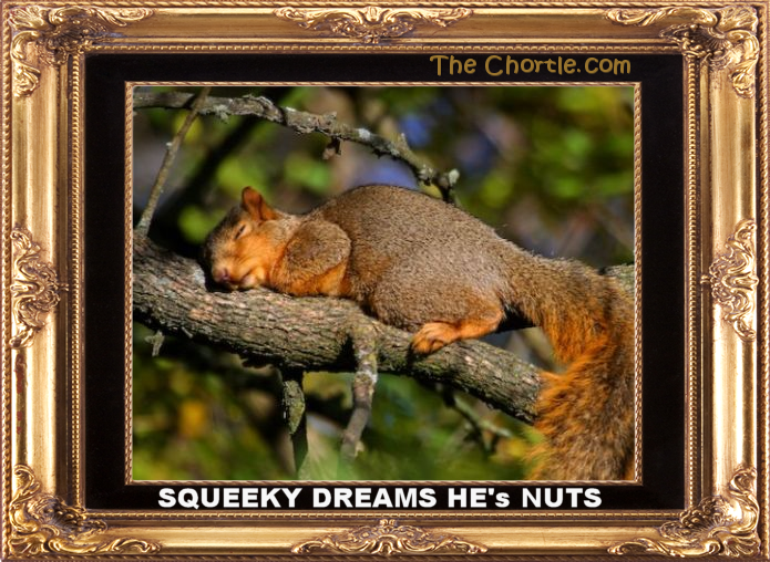 Squeeky dreams he's nuts.