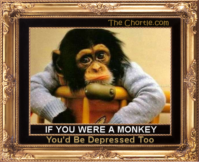 If you were a monkey, you'd be depressed too.