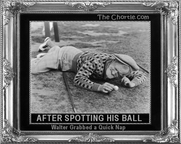 After spotting his ball, Walter grabbed a quick nap.