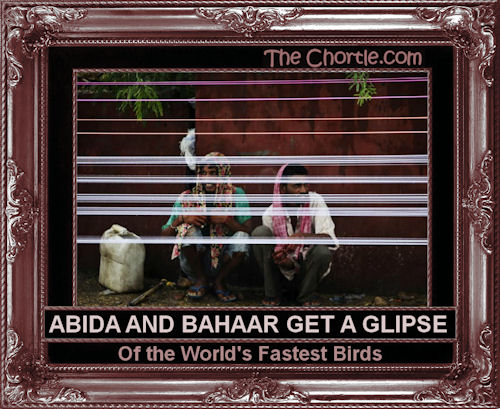 Abida and Bahaar get a glimpse of the world's fastest birds.