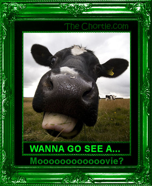 Wanna go see a moooooooovie?