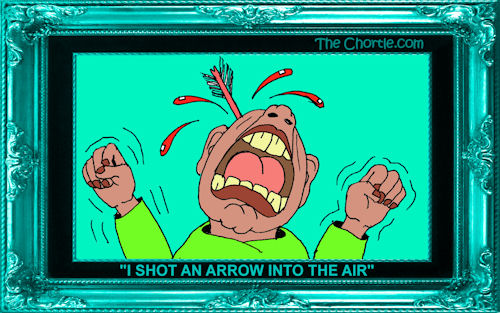 "I shot an arrow into the air"