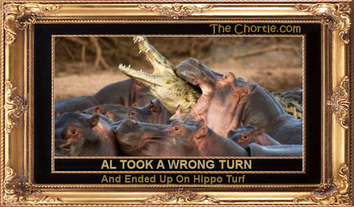 Al took a wrong turn and ended up on hippo turf