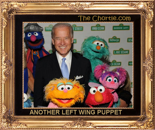 Another left wing puppet