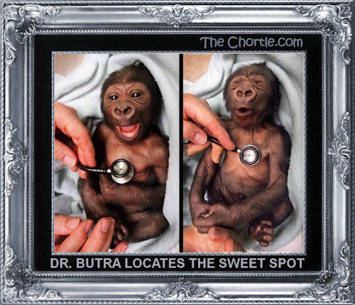 Dr. Butra locates the sweet spot
