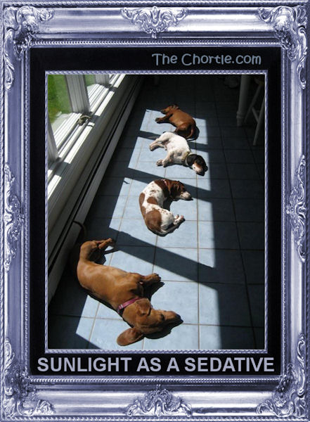 Sunlight as a sedative
