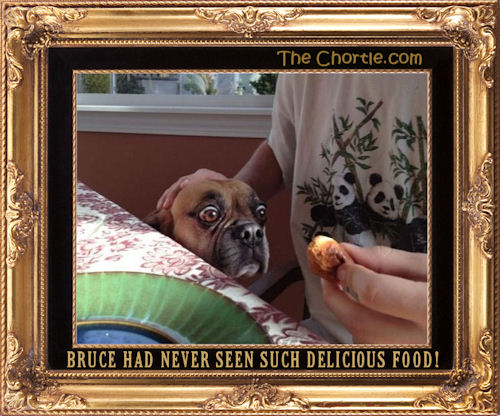 Bruce had never seen such delicious food!