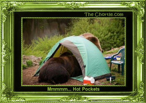 Mmmmmm... Hot Pockets