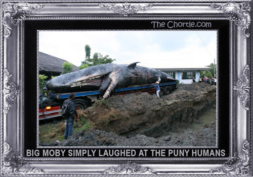 Big Moby simply laughed at the puny humans