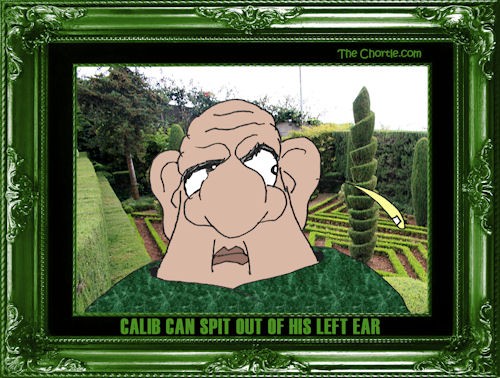 Calib can spit out of his left ear
