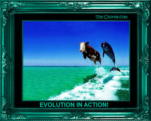 Evolution in action