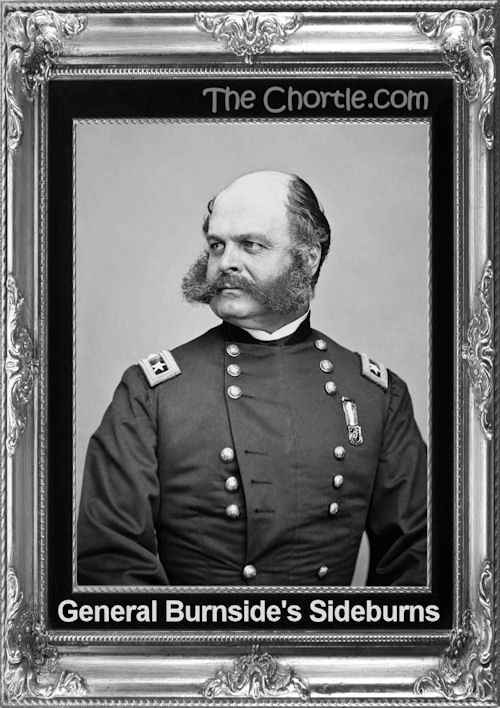 General Burnside's sideburns