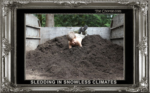 Sledding in snowless climates