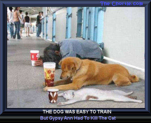 The dog was easy to train, but Gypsy Ann Had to kill the cat