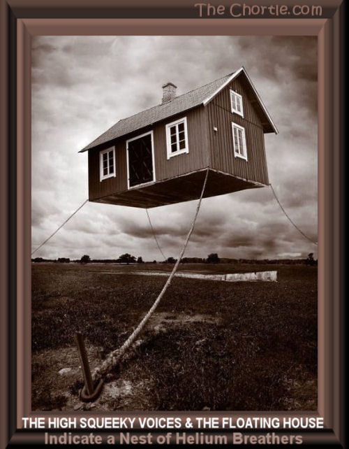 The high squeeky voices and the floating house indicate a nest of helium breathers.