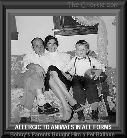 Allergic to animals in all forms, Bobby's parents bought him a pet balloon. 
