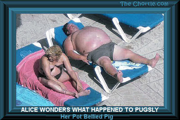 Alice wonders what happened to Pugsly, her pot bellied pig.