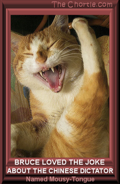 Bruce loved the joke about the Chinese dictator named Mousy-Tongue. 