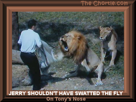 Jerry shouldn't have swatted the fly on Tony's nose.