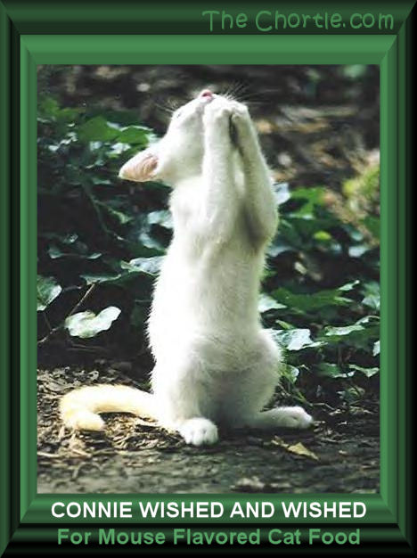 Connie wished and wished for mouse flavored cat food.