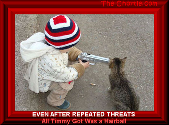 Even after repeated threats, all Timothy got was a hairball 
