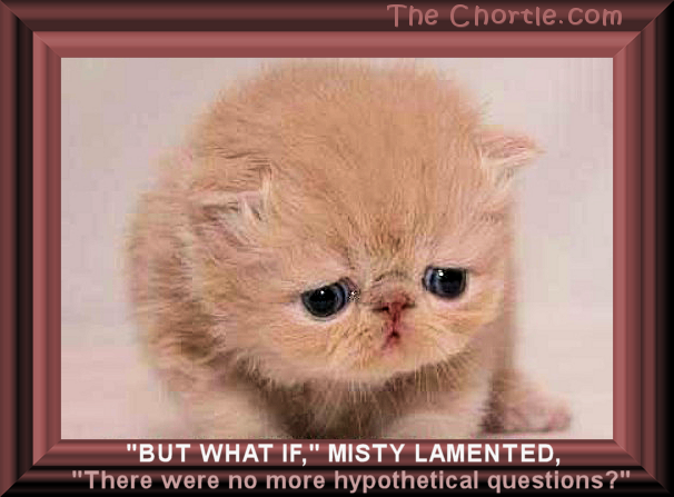 "But what if," Misty lamented, "there were no more hypothetical questions?"