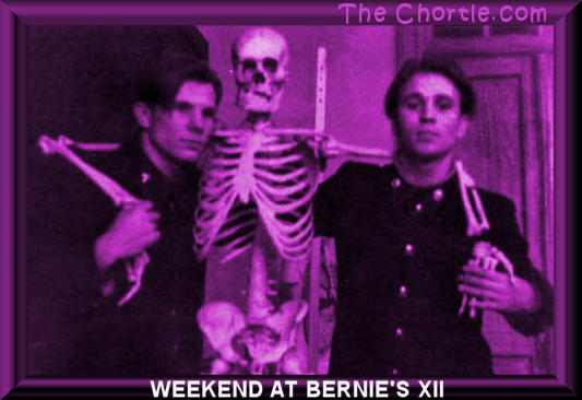 Weekend at Bernie's XII