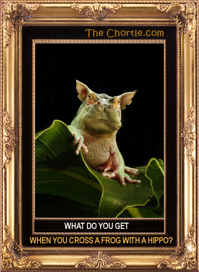 What do you get when you cross a frog with a hippo?
