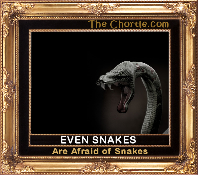 Even snakes are afraid of snakes.
