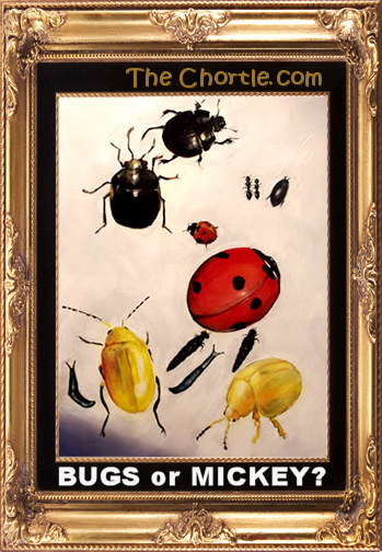 Bugs or Mickey?