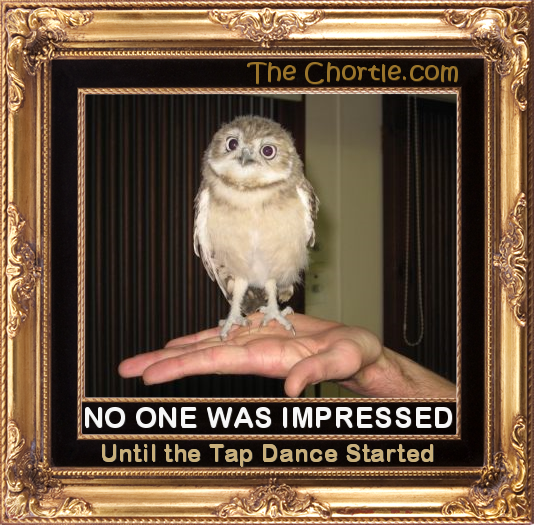 No one was impressed until the tap dance started.