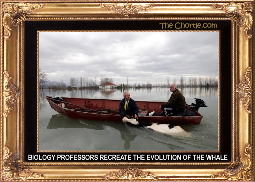 Biology professors recreate the evolution of the whale.