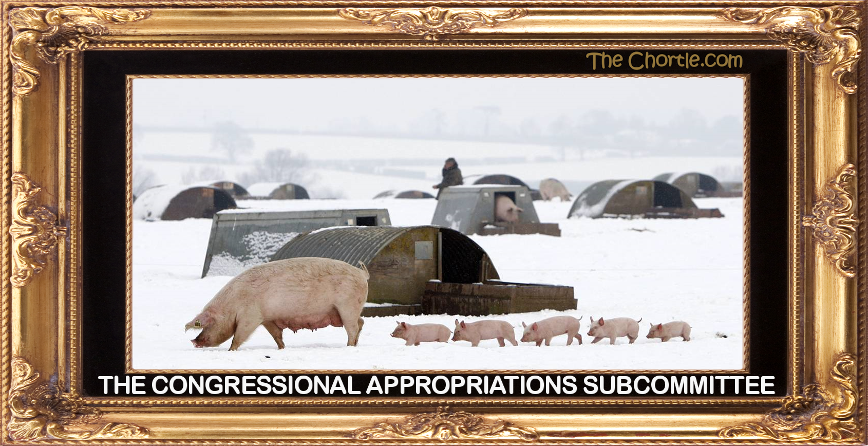 The congressional appropriations subcommittee.