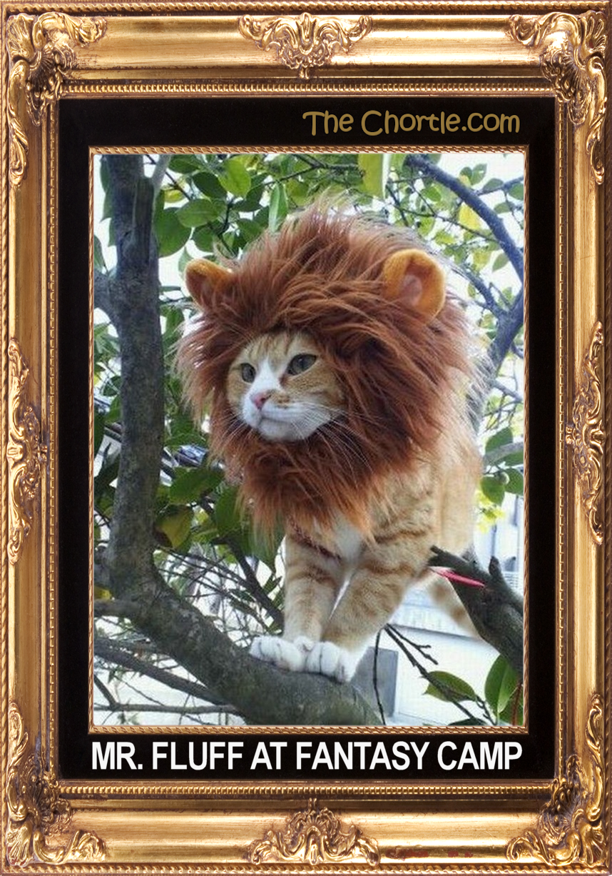 Mr. Fluff at fantassy camp